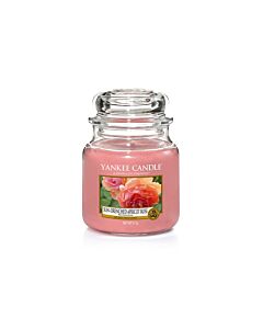 Yankee Candle Sun-Drenched Apricot Rose Medium Jar Candle